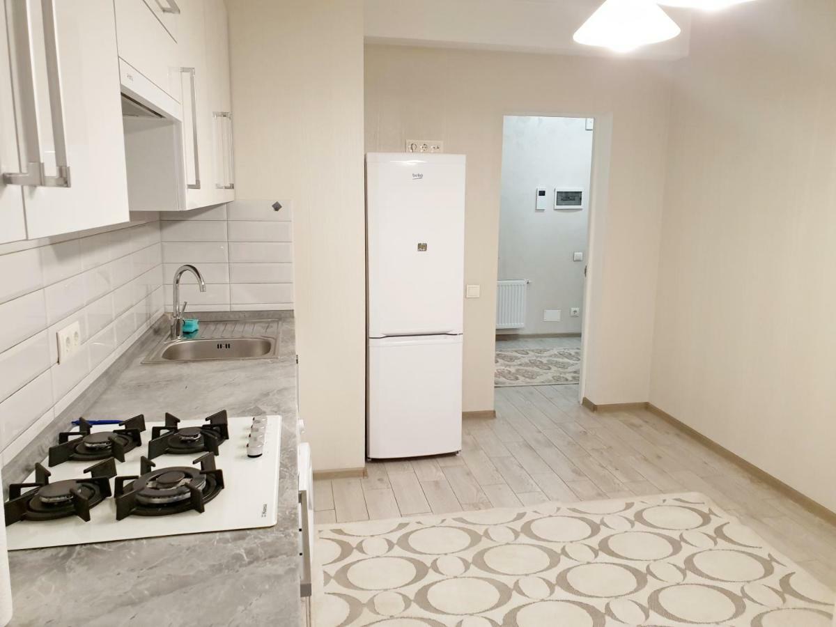 Center Apartment On Albisoara Street Kisinyov Kültér fotó